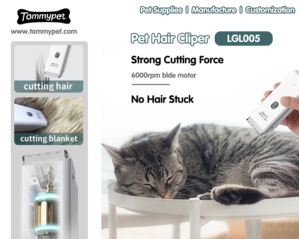 Utilisation de la meilleure tondeuse à cheveux de chat de chat de chat professionnel en toute sécurité