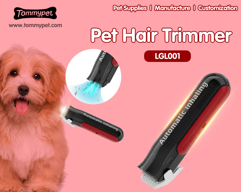 Choses que vous ne devriez jamais oublier lors de l'utilisation d'un tondeuse à cheveux pour animaux de compagnie pour chiens et chats