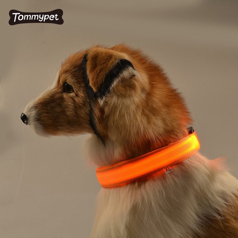 Fournitures pour animaux de compagnie personnalisé en gros Nylon étanche Rechargeable lumineux collier de lueur collier de chien lumière LED collier de chien de compagnie