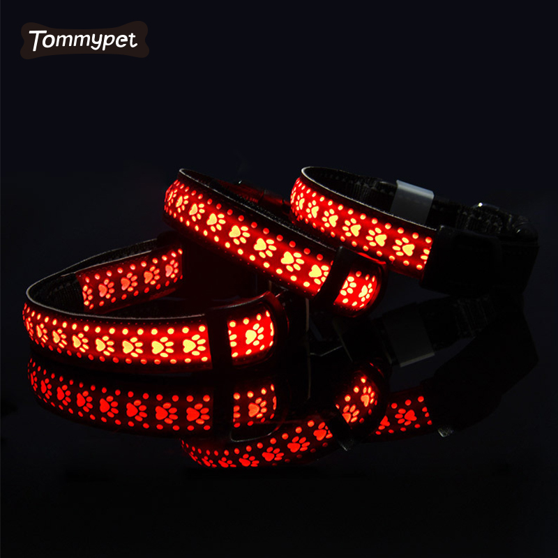 2021 Factory Night Safety Clignotant Glow In The Dark Fluorescent LED personnalisé Colliers pour chiens de compagnie
