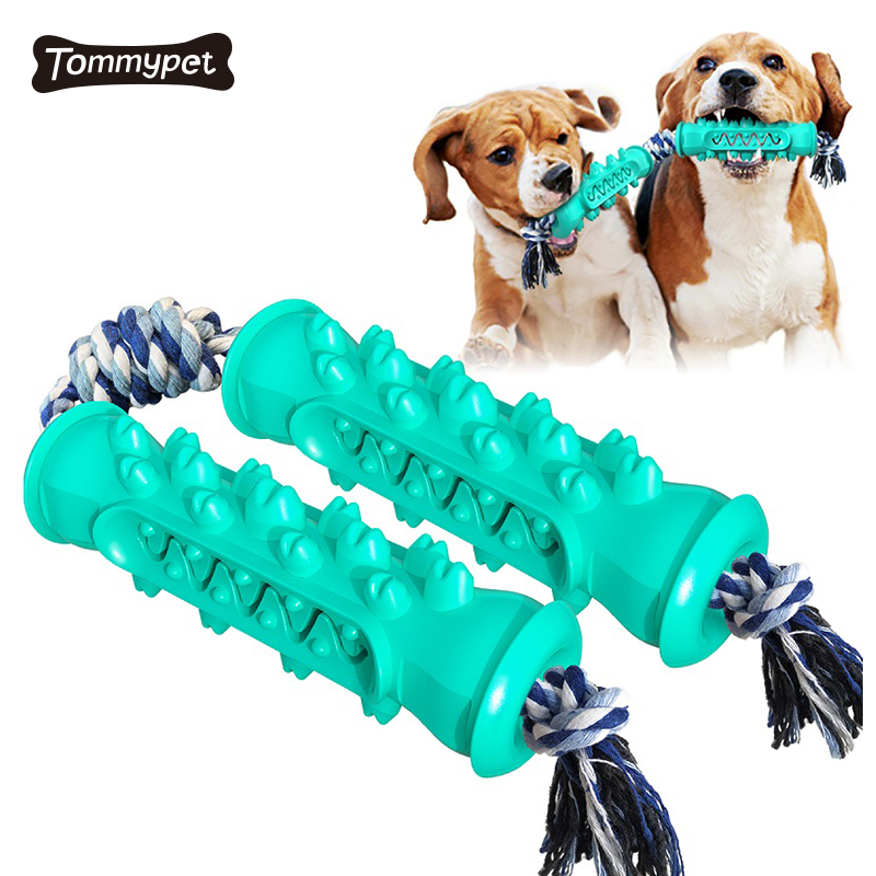 2021 chien soins dentaires brosse à dents bâton efficace chien nettoyage des dents masseur non toxique naturel les chiens bolloRubber jouets à mâcher