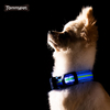 2021 Night Safety Clignotant Glow In The Dark Collier de chien LED en nylon réfléchissant imperméable pour animaux de compagnie