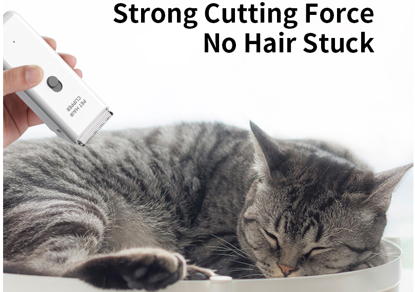 Haut grade Meilleures tondeuses à cheveux pour chiens et chats pour les chiens et les chats à usage domestique