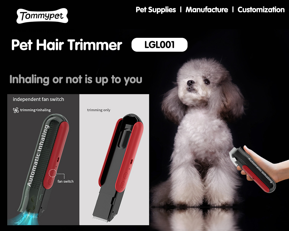 Utiliser un tondeuse à cheveux d'animaux avec un aspirateur pour obtenir des cheveux de compagnie sous contrôle
