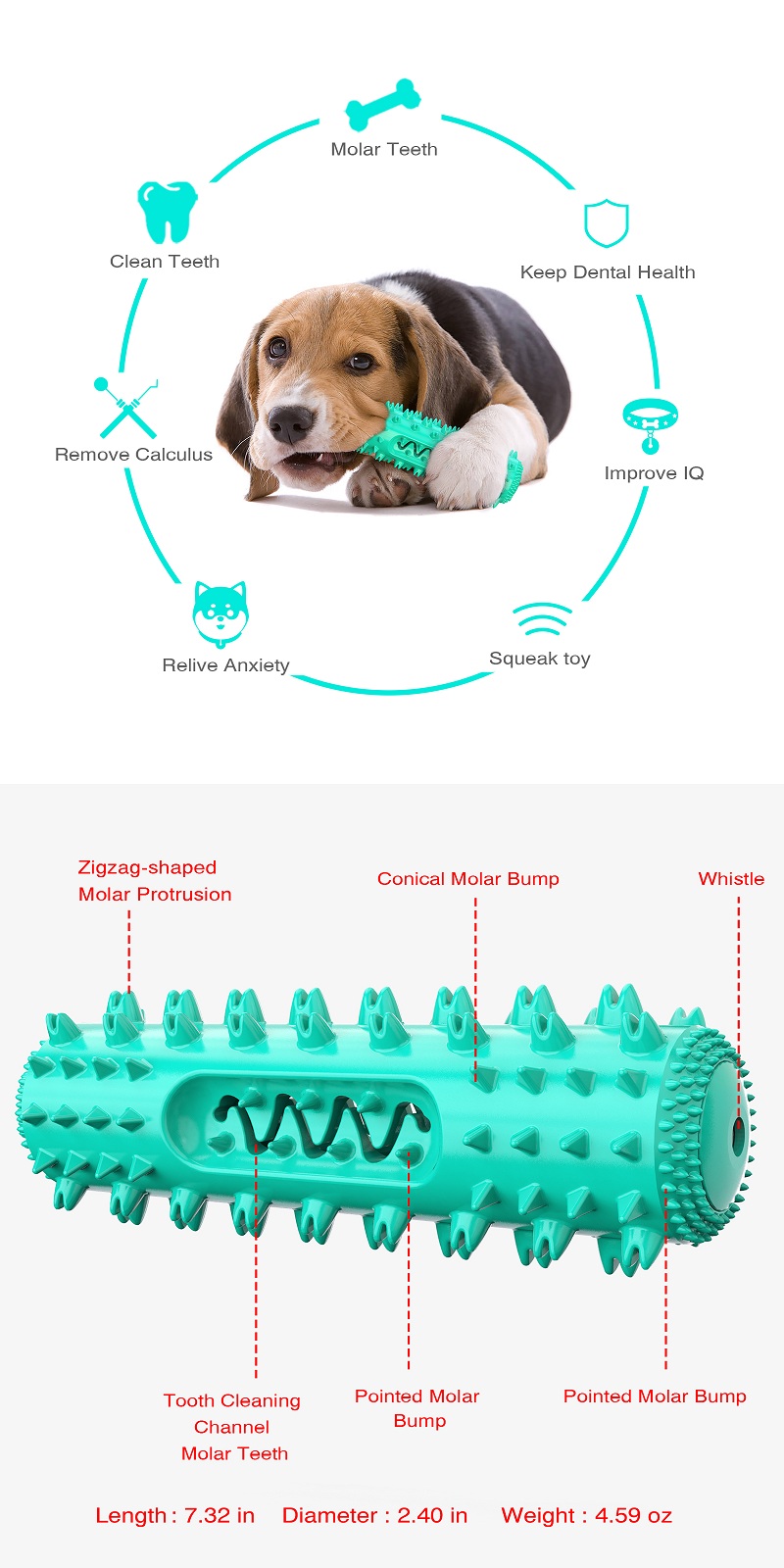 Amazon Best Seller TPR Dents De Nettoyage Tige Molaire Dentelée Brosse À Dents Pour Chien Chew Squeaky Pet Dog Toy