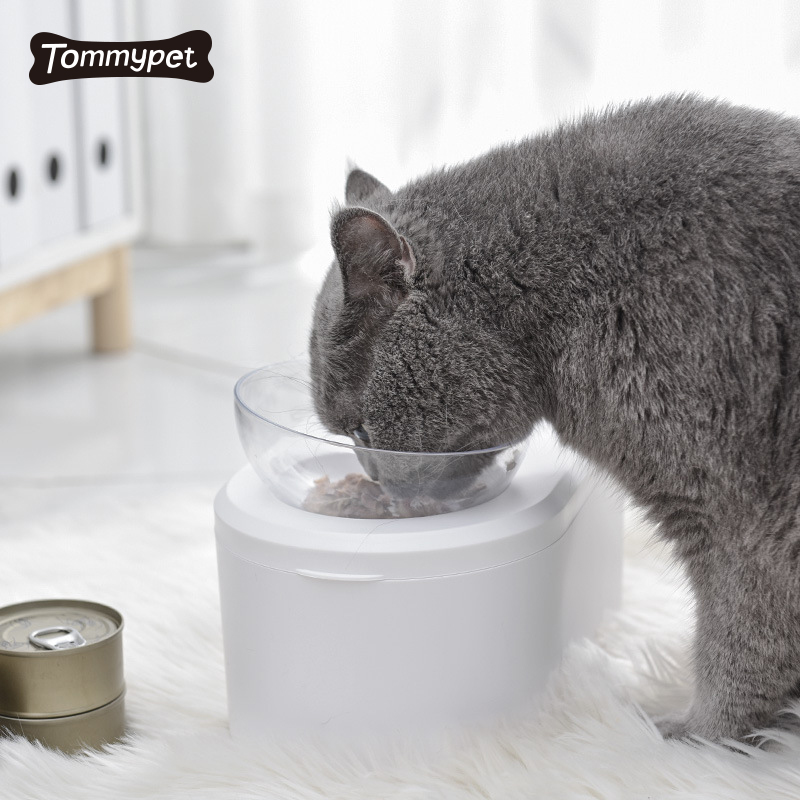 Mangeoire pour animaux de compagnie antidérapante à 15 degrés, double bol d'eau, protection du cou, bol pour chat